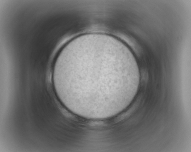 X0000113021462200910081150