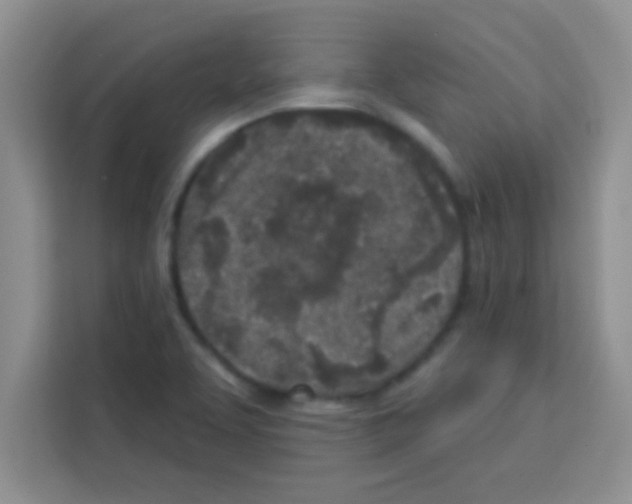 X0000113021463200910081150