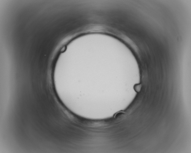 X0000113021464200910081150