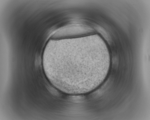 X0000113021465200910081150