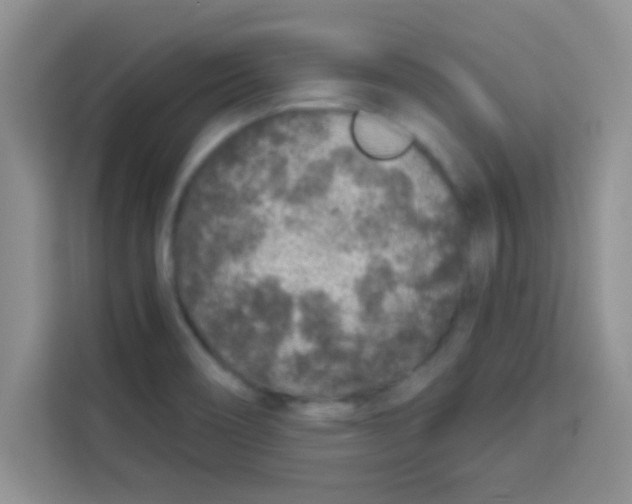 X0000113021466200910081150