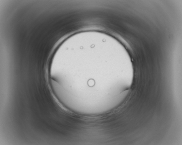 X0000113021468200910081150