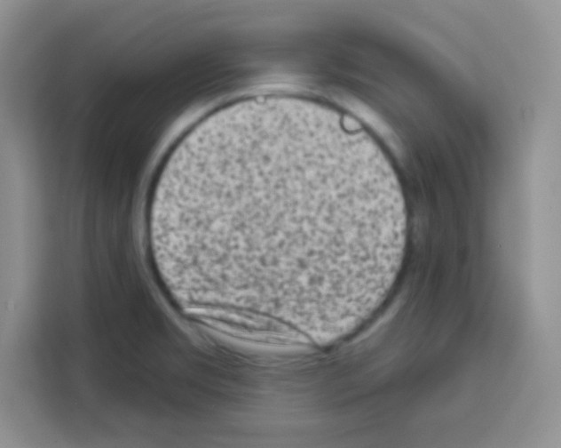 X0000113021469200910081150