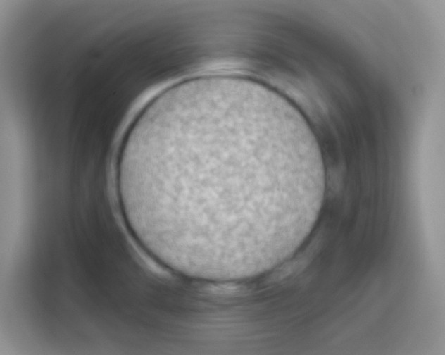 X0000113021470200910081150