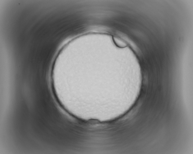 X0000113021471200910081150