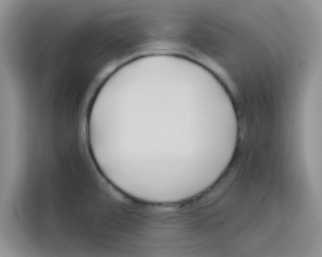 X0000113021472200910081150