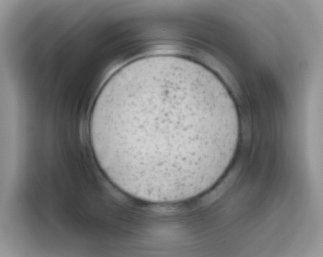 X0000113021473200910081150