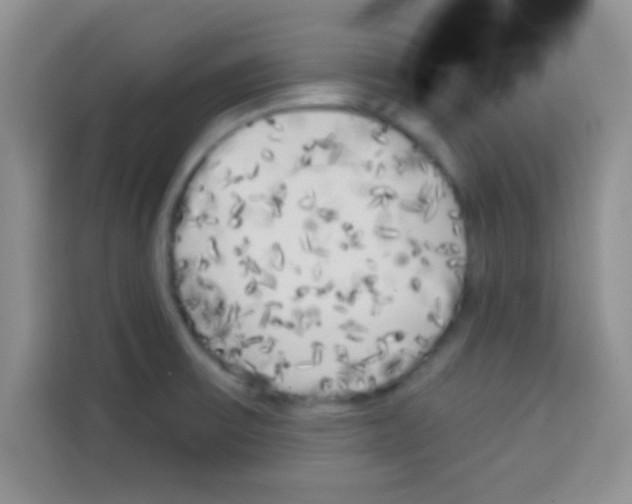 X0000113021475200910081150