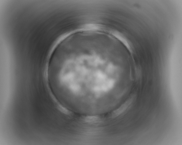 X0000113021477200910081150