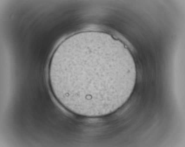 X0000113021479200910081150