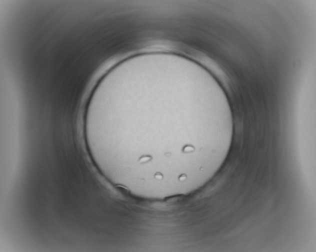 X0000113021480200910081150