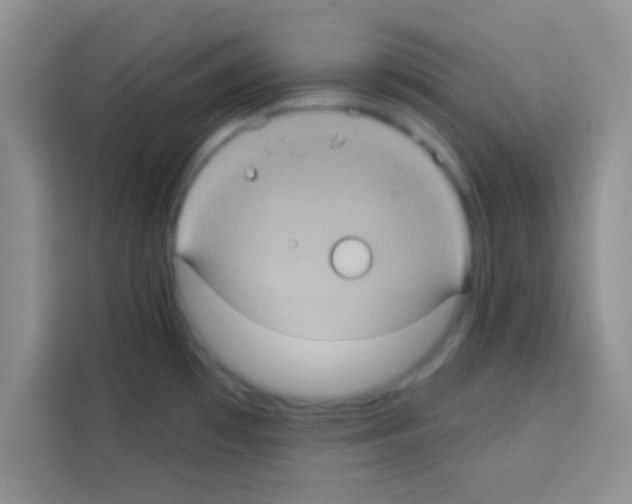 X0000113021481200910081150