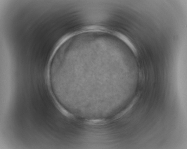 X0000113021482200910081150