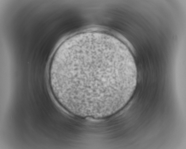 X0000113021483200910081150