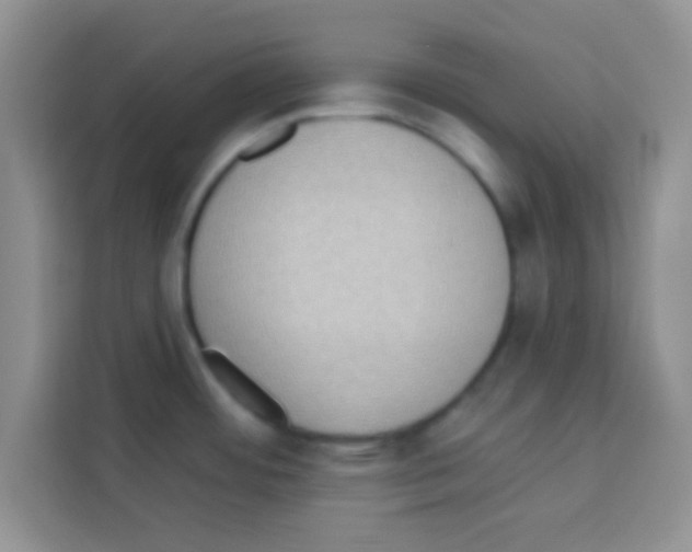 X0000113021484200910081150