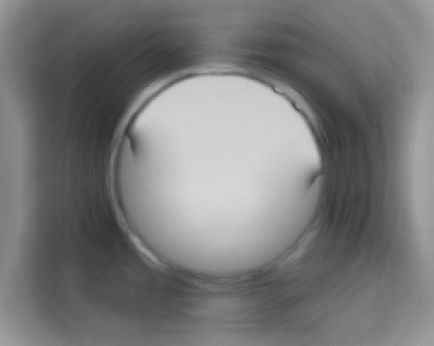 X0000113021485200910081150