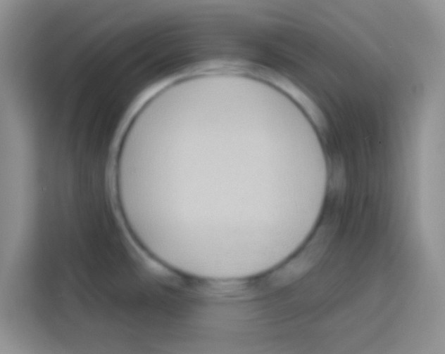 X0000113021486200910081150