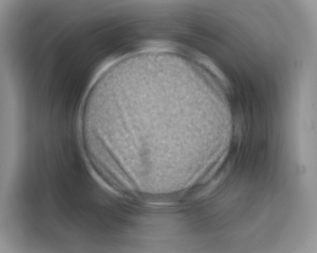 X0000113021487200910081150