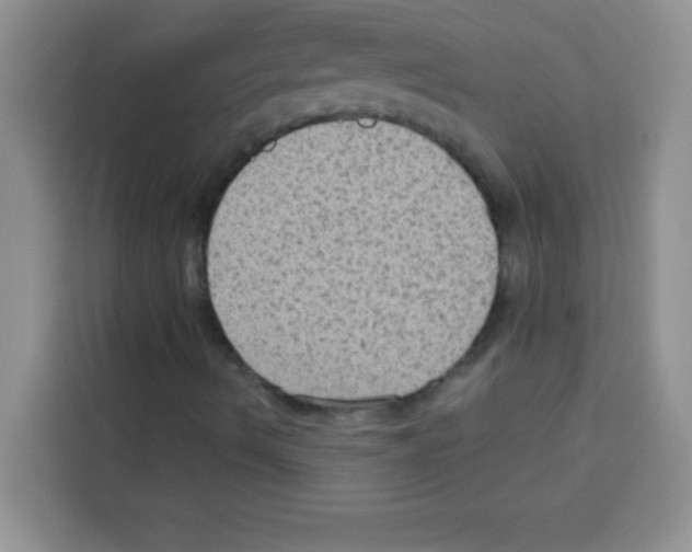 X0000113021490200910081149