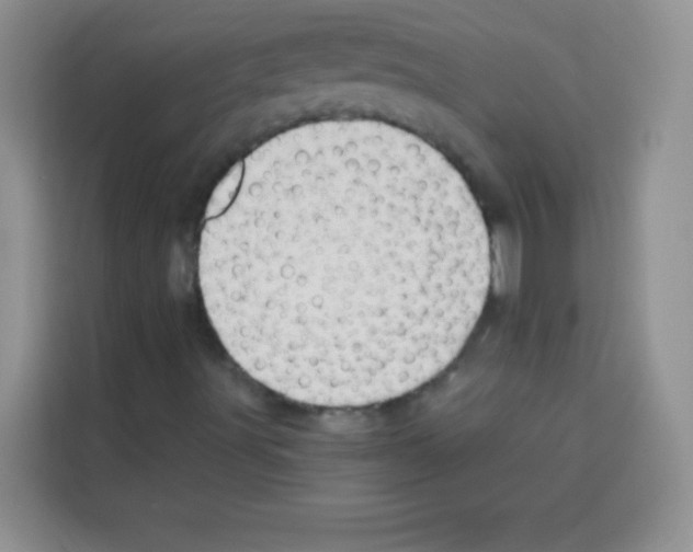 X0000113021491200910081149