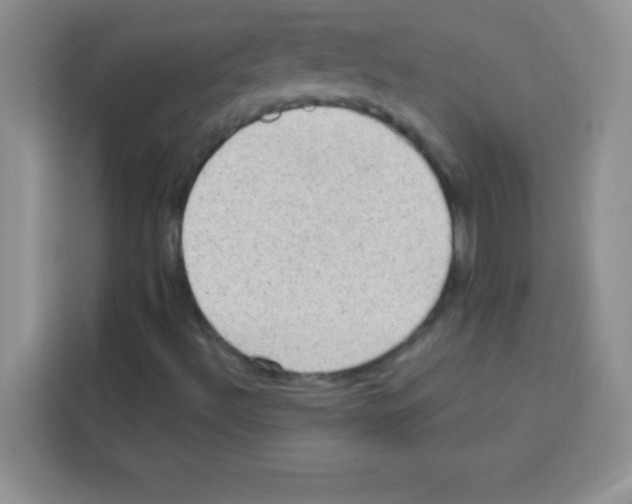 X0000113021492200910081149