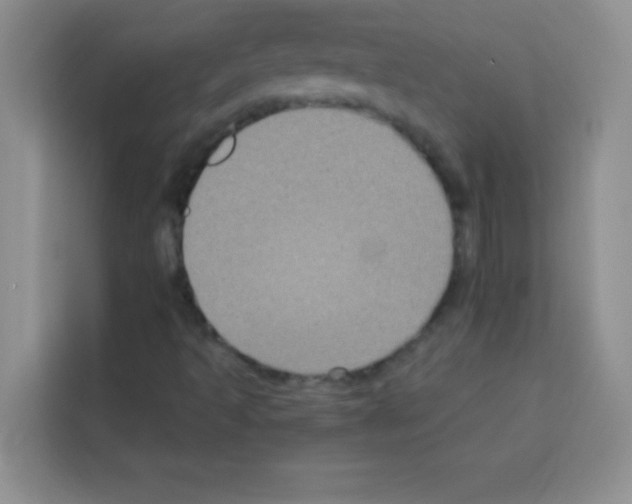 X0000113021493200910081149