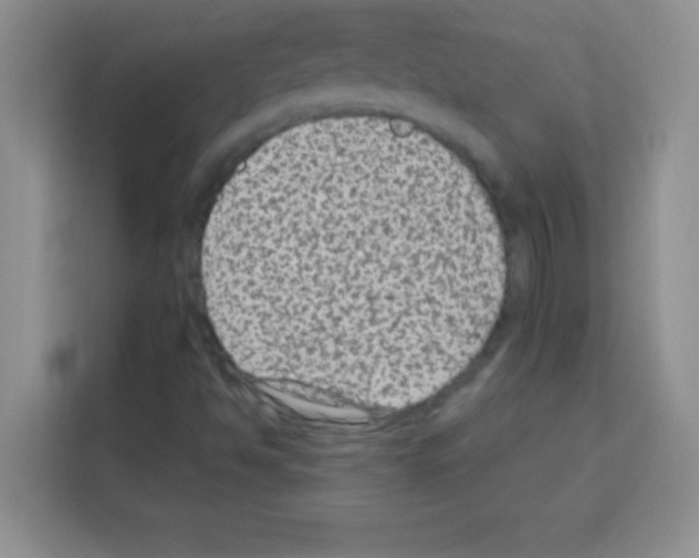 X0000113021494200910081149