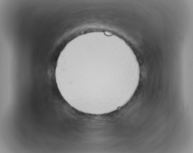 X0000113021495200910081149