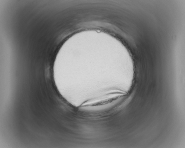 X0000113021497200910081149