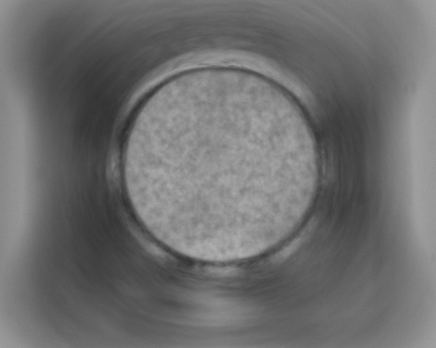 X0000113021498200910081149