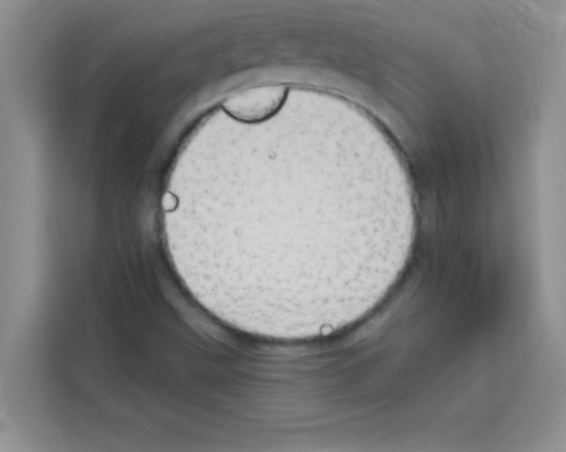 X0000113021499200910081149