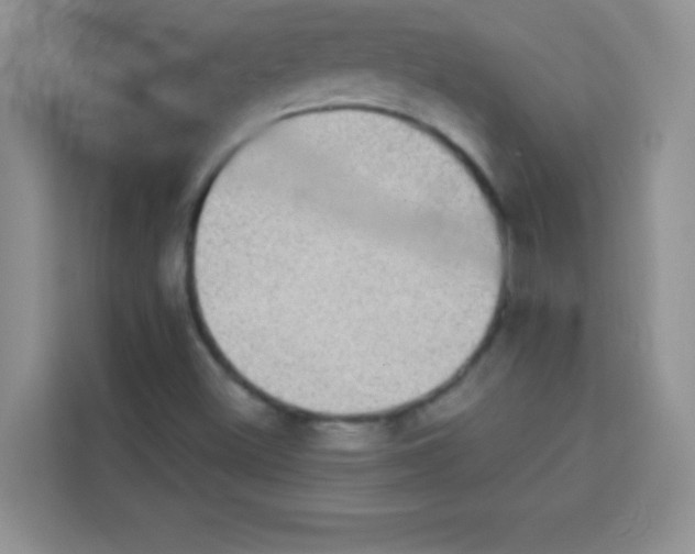 X0000113021500200910081149