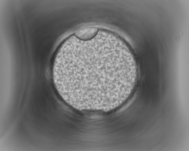 X0000113021501200910081149