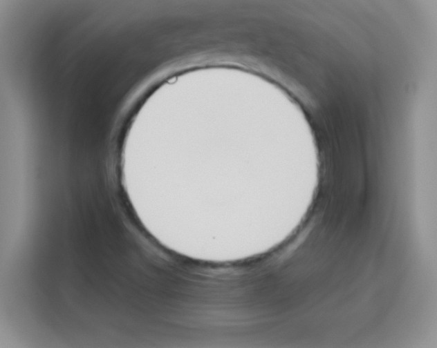 X0000113021502200910081149