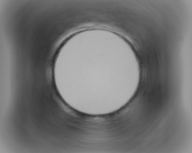 X0000113021503200910081149