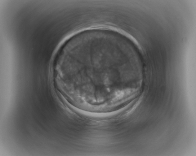 X0000113021506200910081149