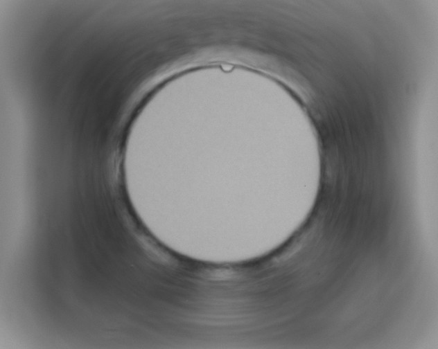 X0000113021507200910081149