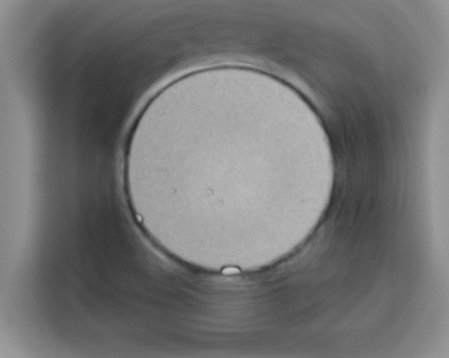 X0000113021508200910081149