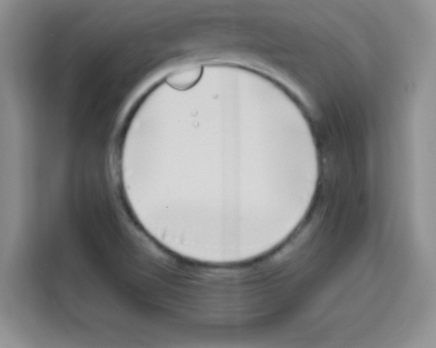 X0000113021510200910081149