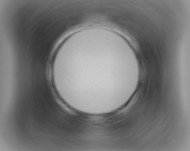 X0000113021511200910081149