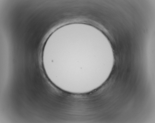 X0000113021512200910081149