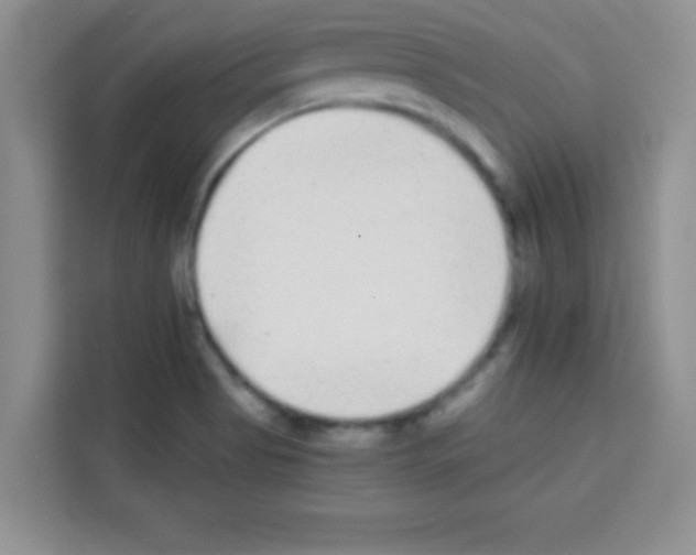 X0000113021513200910081149