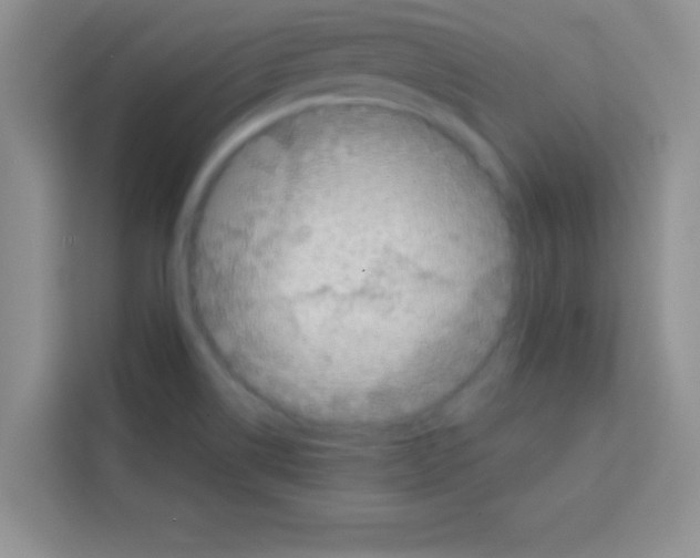 X0000113021514200910081149