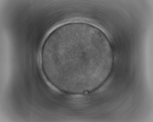 X0000113021515200910081149