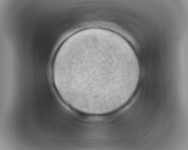 X0000113021517200910081149