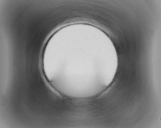 X0000113021518200910081149