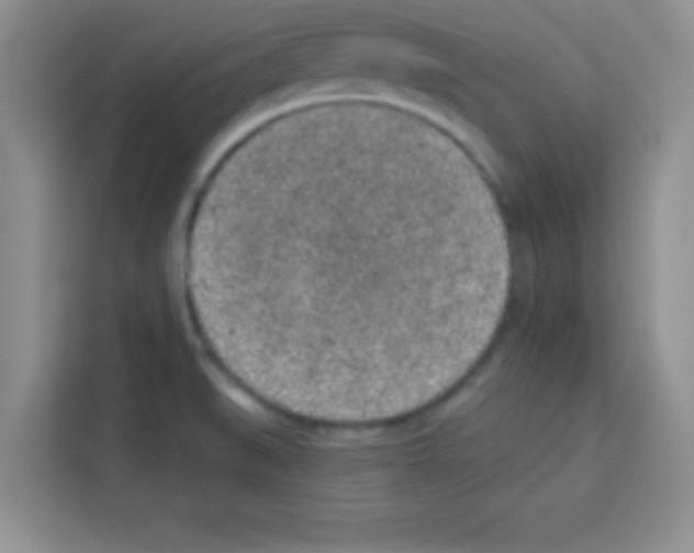 X0000113021519200910081149