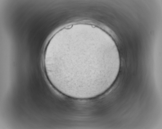 X0000113021520200910081149