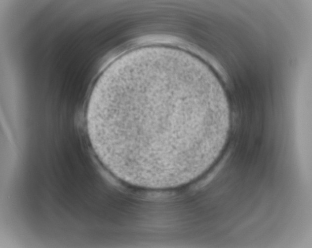 X0000113021521200910081149