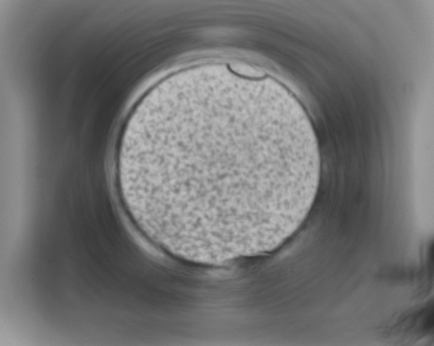 X0000113021523200910081149